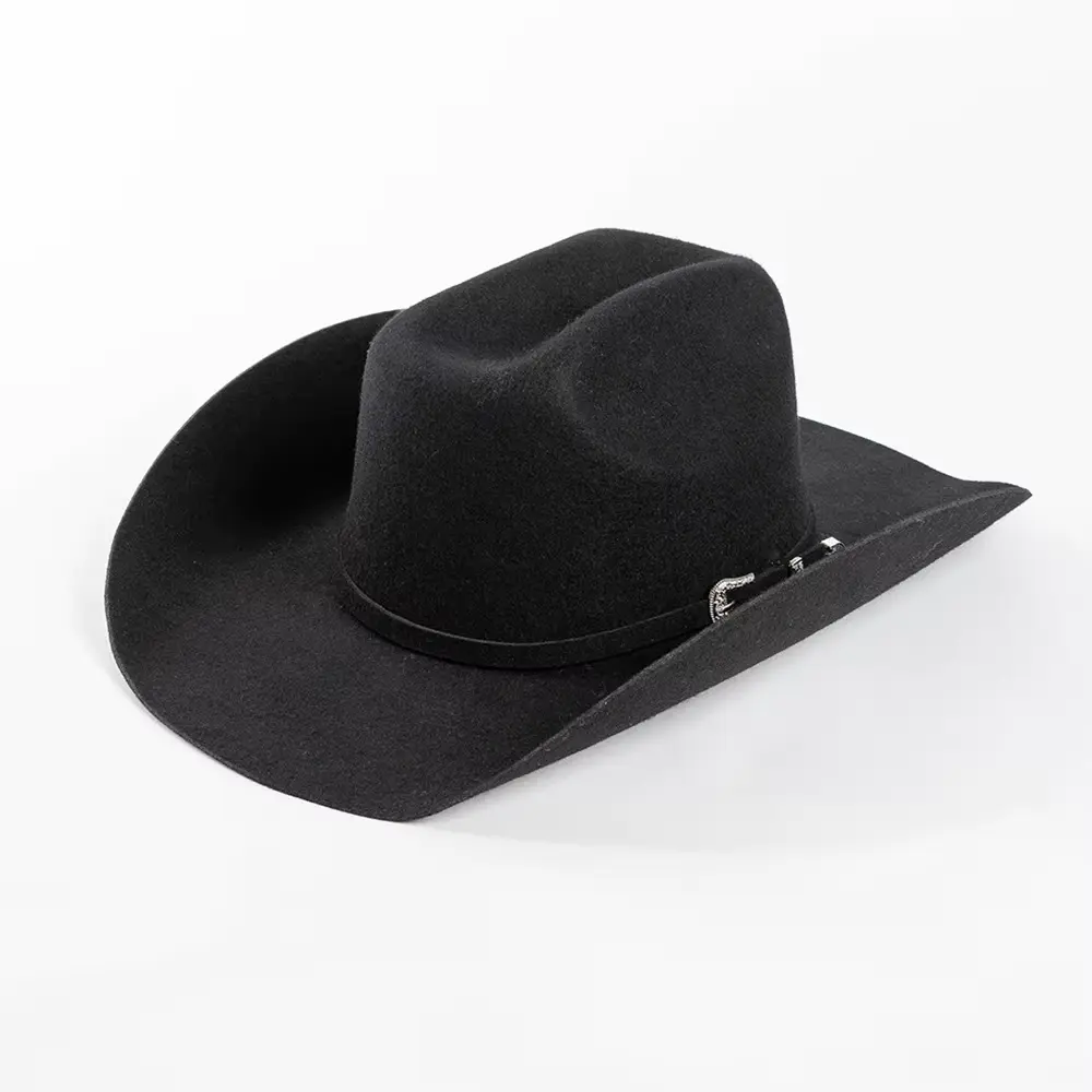 Color Negro del sombrero